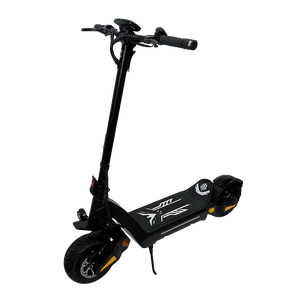 E-Scooter Pro DT06